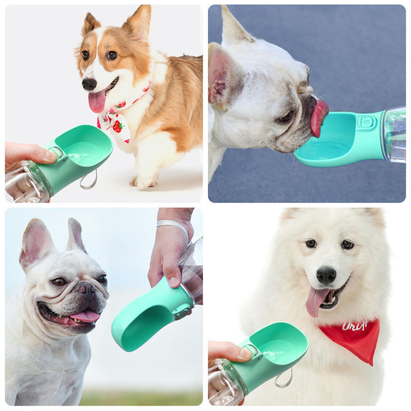 Bebedor Portatil Para Cães e gatos