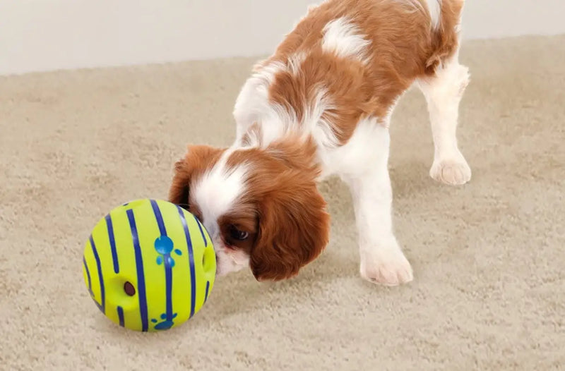 Bola Interativa Wobble Wag para Cães