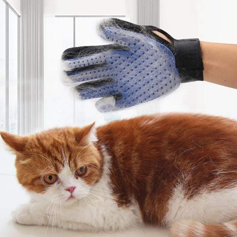 Luvas para remoção de pelos de gatos e cães