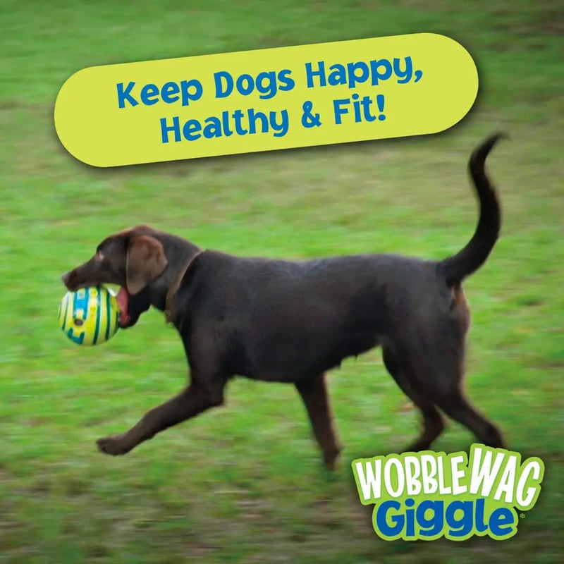 Bola Interativa Wobble Wag para Cães