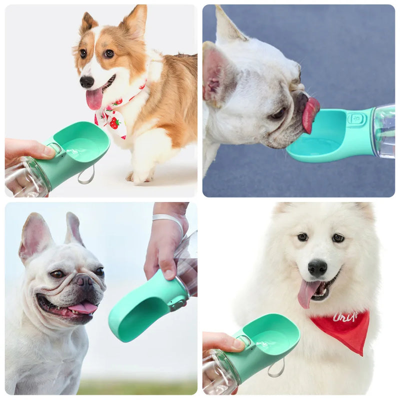 Bebedor Portatil Para Cães e gatos