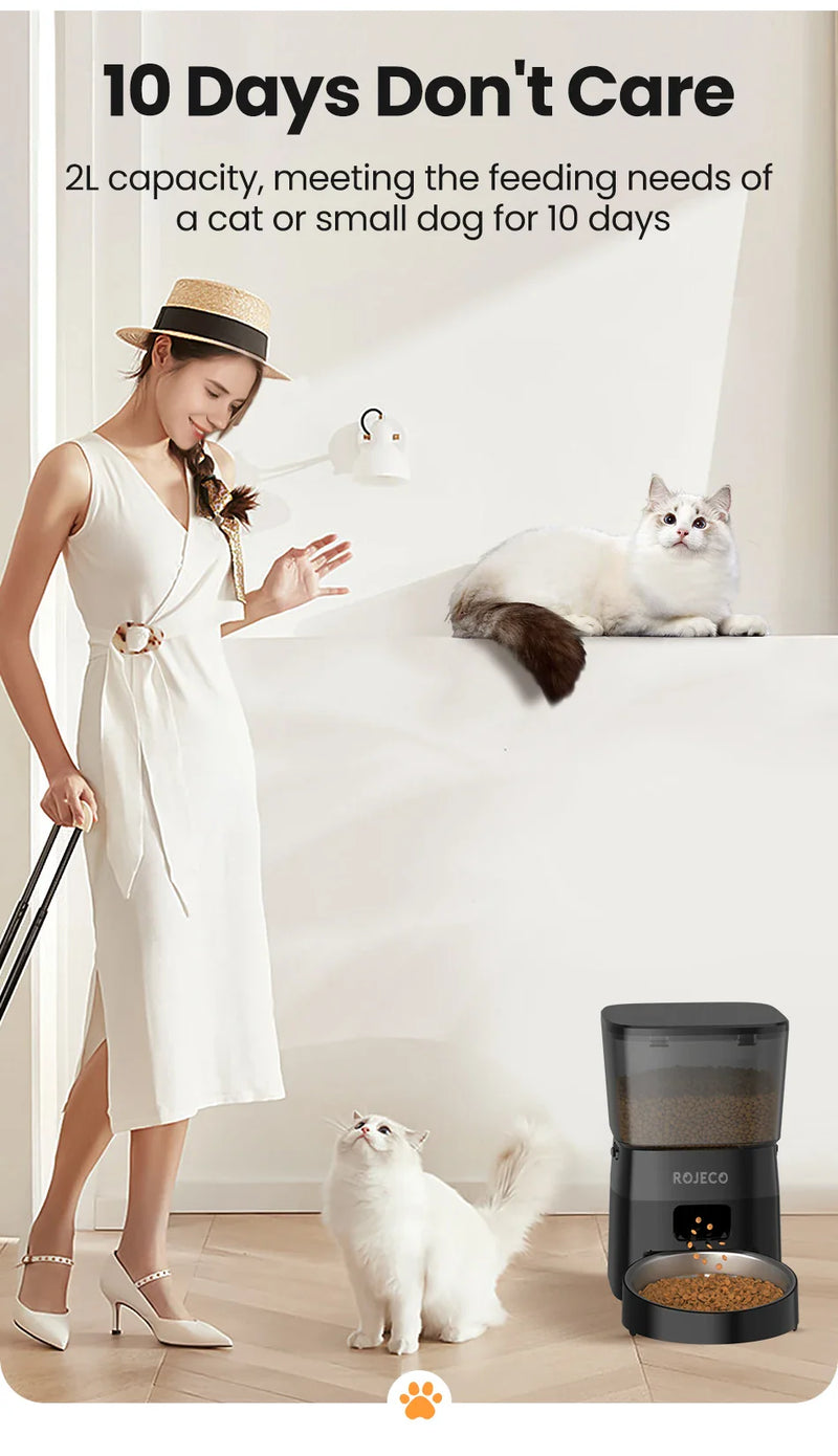 Dispensador automático de ração para gatos e cães, com controle inteligente ROJECO